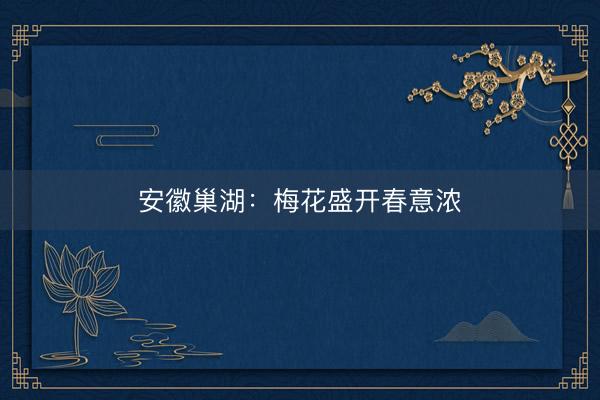 安徽巢湖：梅花盛开春意浓