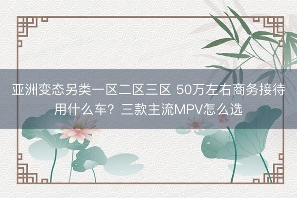 亚洲变态另类一区二区三区 50万左右商务接待用什么车？三款主流MPV怎么选