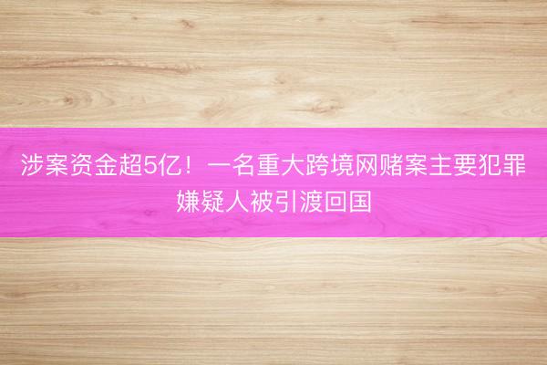 涉案资金超5亿！一名重大跨境网赌案主要犯罪嫌疑人被引渡回国