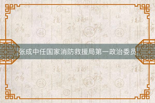 张成中任国家消防救援局第一政治委员