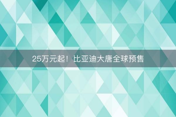 25万元起！比亚迪大唐全球预售