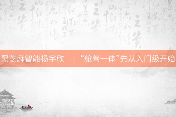黑芝麻智能杨宇欣：“舱驾一体”先从入门级开始