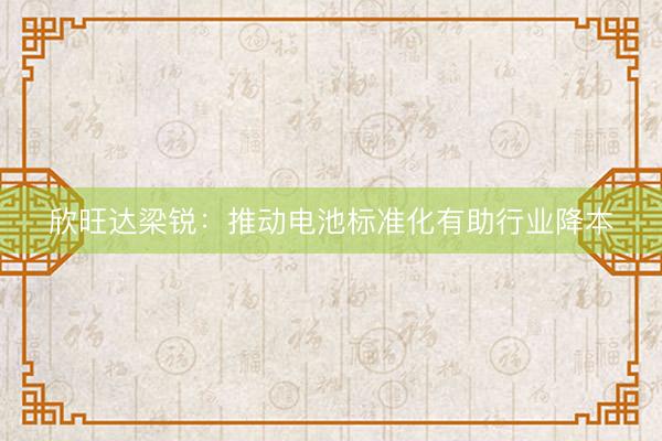欣旺达梁锐：推动电池标准化有助行业降本