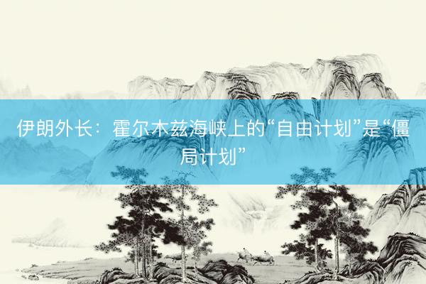 伊朗外长：霍尔木兹海峡上的“自由计划”是“僵局计划”