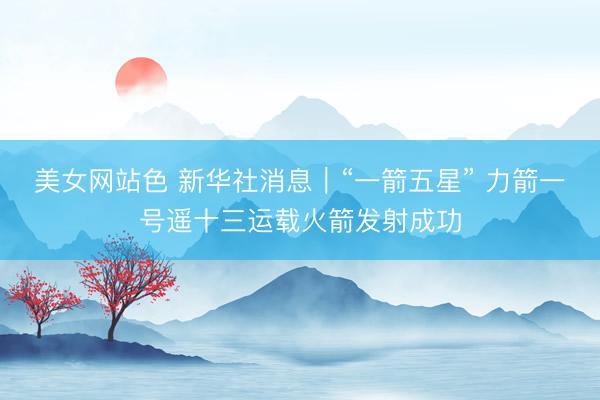 美女网站色 新华社消息｜“一箭五星” 力箭一号遥十三运载火箭发射成功