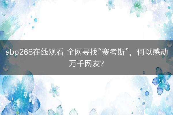 abp268在线观看 全网寻找“赛考斯”，何以感动万千网友？