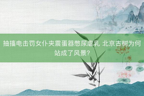 抽搐电击罚女仆夹震蛋器憋尿虐乳 北京古树为何站成了风景？