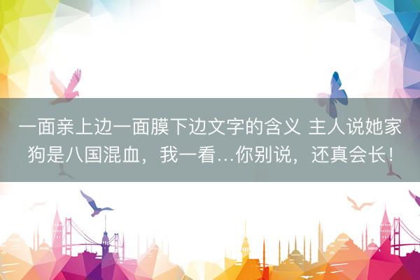 一面亲上边一面膜下边文字的含义 主人说她家狗是八国混血，我一看…你别说，还真会长！