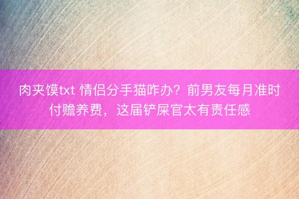 肉夹馍txt 情侣分手猫咋办？前男友每月准时付赡养费，这届铲屎官太有责任感
