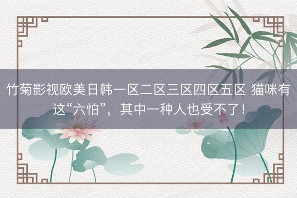 竹菊影视欧美日韩一区二区三区四区五区 猫咪有这“六怕”，其中一种人也受不了！