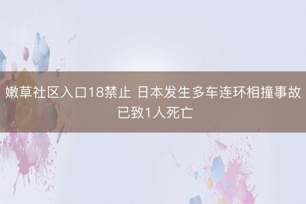 嫩草社区入口18禁止 日本发生多车连环相撞事故 已致1人死亡