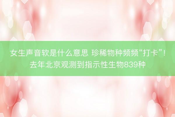 女生声音软是什么意思 珍稀物种频频“打卡”!去年北京观测到指示性生物839种
