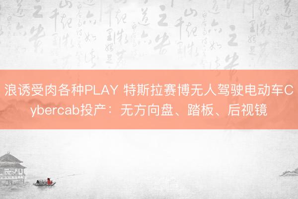 浪诱受肉各种PLAY 特斯拉赛博无人驾驶电动车Cybercab投产:无方向盘、踏板、后视镜