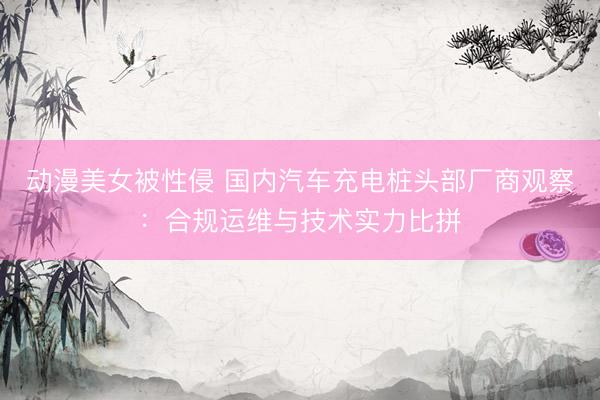 动漫美女被性侵 国内汽车充电桩头部厂商观察：合规运维与技术实力比拼