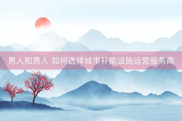 男人和男人 如何选择城市补能设施运营服务商