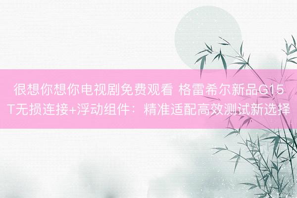 很想你想你电视剧免费观看 格雷希尔新品G15T无损连接+浮动组件：精准适配高效测试新选择