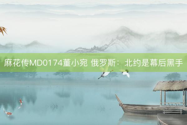 麻花传MD0174董小宛 俄罗斯:北约是幕后黑手