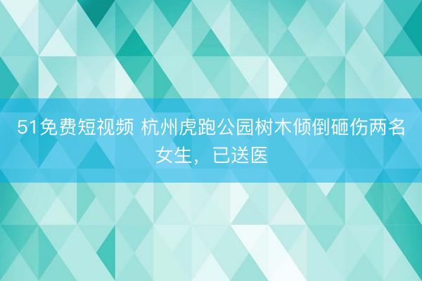 51免费短视频 杭州虎跑公园树木倾倒砸伤两名女生，已送医