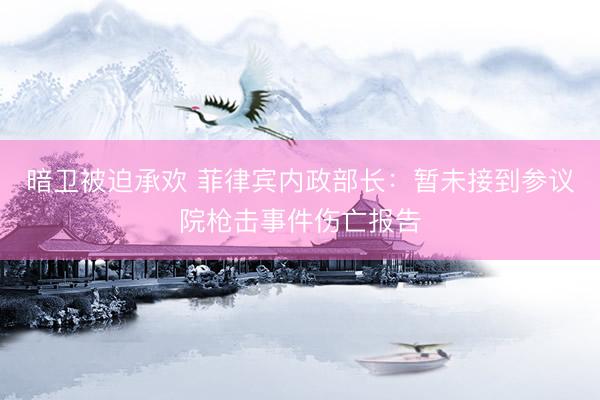 暗卫被迫承欢 菲律宾内政部长：暂未接到参议院枪击事件伤亡报告