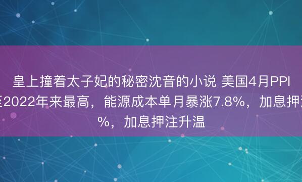 皇上撞着太子妃的秘密沈音的小说 美国4月PPI飙升至2022年来最高，能源成本单月暴涨7.8%，加息押注升温