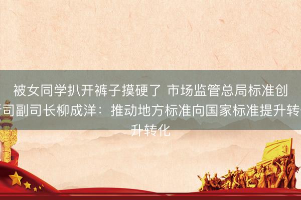被女同学扒开裤子摸硬了 市场监管总局标准创新司副司长柳成洋：推动地方标准向国家标准提升转化