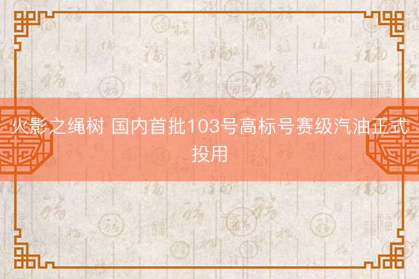 火影之绳树 国内首批103号高标号赛级汽油正式投用