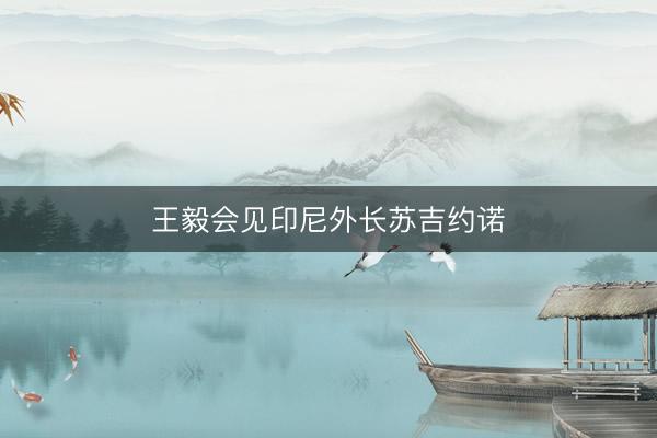 王毅会见印尼外长苏吉约诺