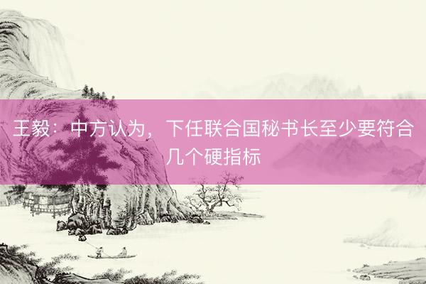 王毅：中方认为，下任联合国秘书长至少要符合几个硬指标