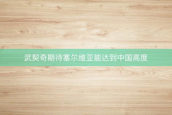 武契奇期待塞尔维亚能达到中国高度