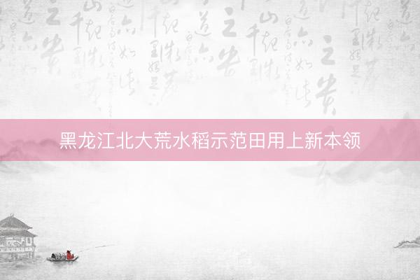 黑龙江北大荒水稻示范田用上新本领