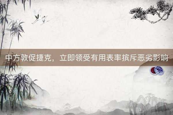 中方敦促捷克,立即领受有用表率摈斥恶劣影响