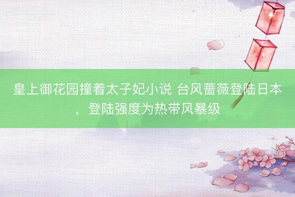 皇上御花园撞着太子妃小说 台风蔷薇登陆日本，登陆强度为热带风暴级