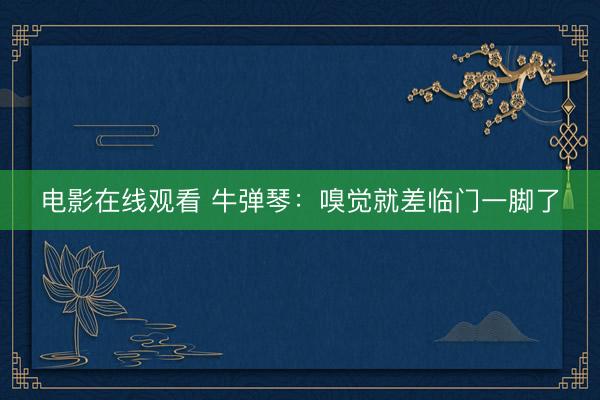 电影在线观看 牛弹琴：嗅觉就差临门一脚了