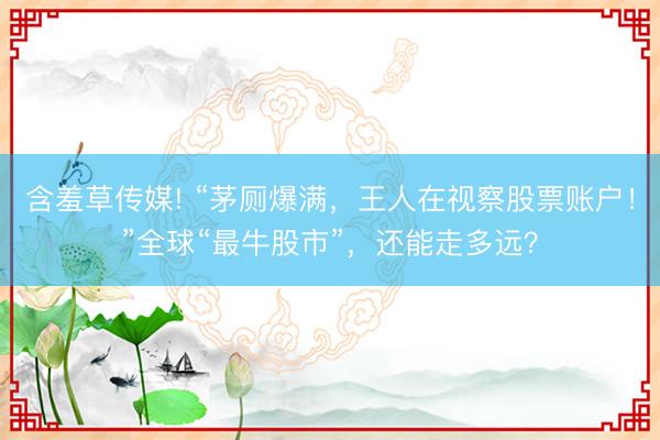 含羞草传媒! “茅厕爆满,王人在视察股票账户!”全球“最牛股市”,还能走多远?