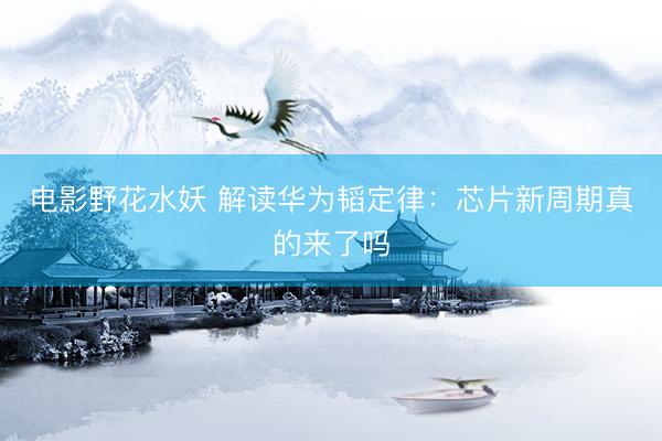 电影野花水妖 解读华为韬定律:芯片新周期真的来了吗