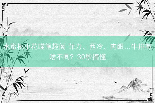水蜜桃小花喵笔趣阁 菲力、西冷、肉眼…牛排有啥不同？30秒搞懂