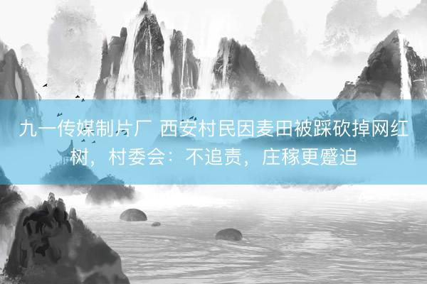 九一传媒制片厂 西安村民因麦田被踩砍掉网红树，村委会：不追责，庄稼更蹙迫
