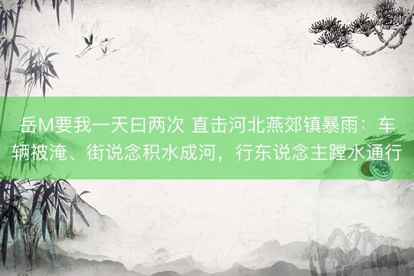 岳M要我一天曰两次 直击河北燕郊镇暴雨：车辆被淹、街说念积水成河，行东说念主蹚水通行