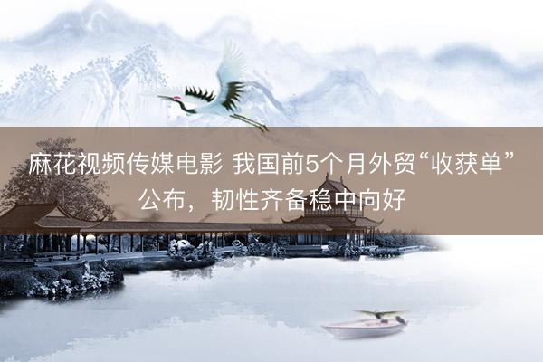 麻花视频传媒电影 我国前5个月外贸“收获单”公布,韧性齐备稳中向好