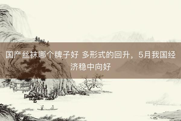 国产丝袜哪个牌子好 多形式的回升,5月我国经济稳中向好