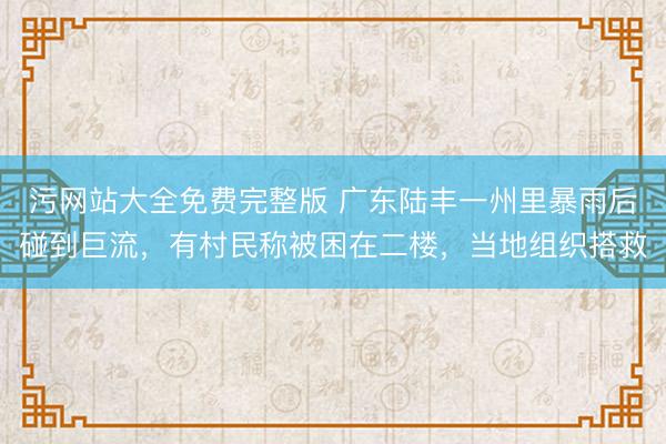 污网站大全免费完整版 广东陆丰一州里暴雨后碰到巨流，有村民称被困在二楼，当地组织搭救