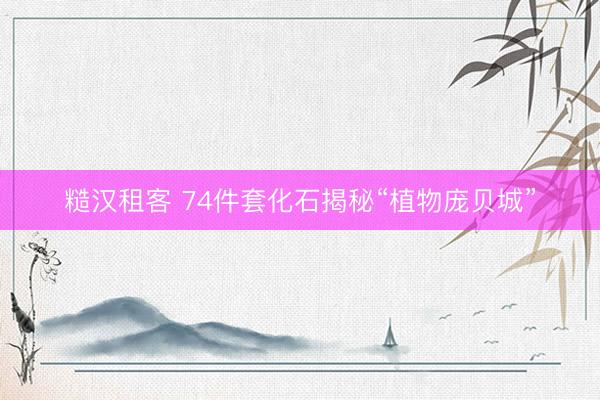 糙汉租客 74件套化石揭秘“植物庞贝城”