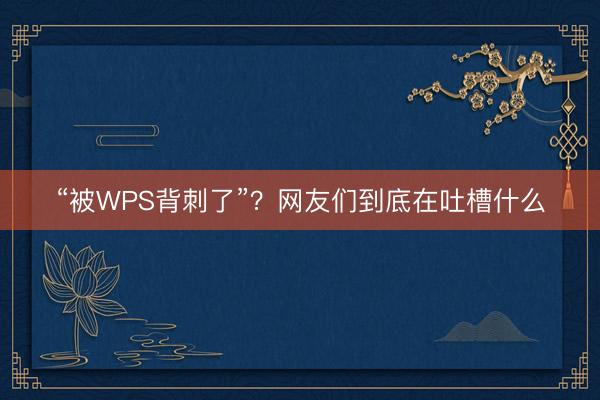“被WPS背刺了”？网友们到底在吐槽什么