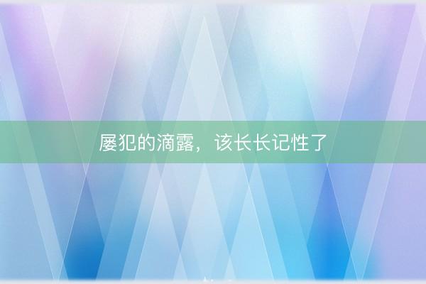 屡犯的滴露，该长长记性了